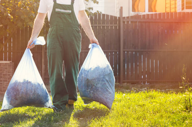 Best Junk Removal Near Me  in Carson City, MI