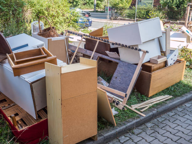 Best Electronics Removal Services  in Carson City, MI